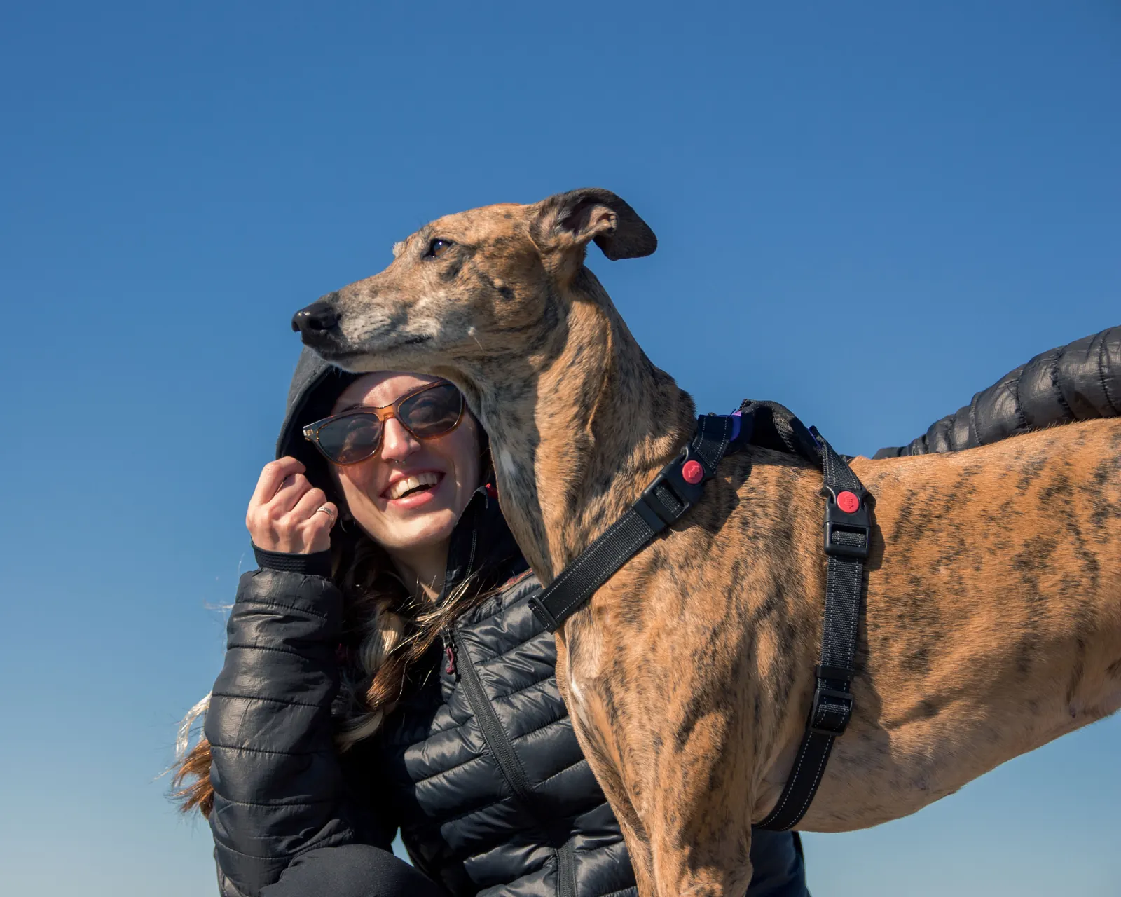Mujer sonriendo junto a su galgo