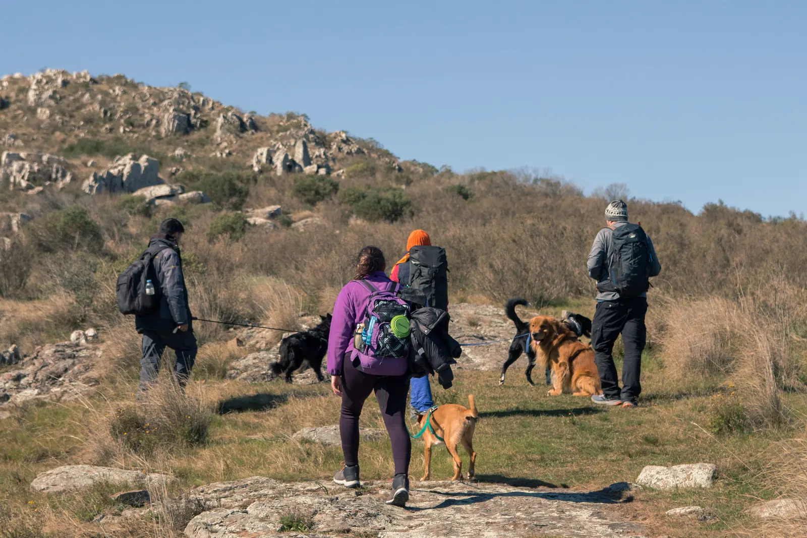 Grupo caminando con sus perros entre las piedras de la sierra